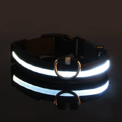 V-TECH Dog Collar